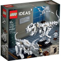 21320 Dinosaur Fossils